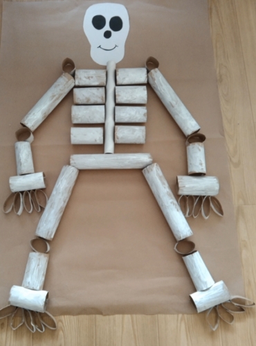 4 Yaş A Grubu Öğrencileri iskelet sistemi ile ilgili bilgiler edinerek kendi iskelet sistemi maketlerini hazırladılar
