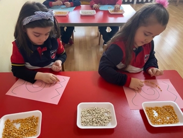 Montessori Çalışması: Verilen yönergelerdeki çizgilere mısır-fasulye dizme çalışması yaptık.