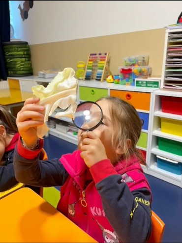 6 yaş B sınıfında deney saati ?Lahana renklendirme deneyimizde, önce lahanalarımızı büyüteçlerimiz ile damarlarını inceledik daha sonra tadına baktık. En son ise gıda boyası ile renklendirdik ve gözlem için bekletiyoruz ☺️