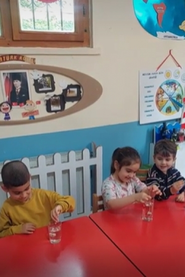5 yaş B grubu öğrencileri Karahindiba bitkisinin özelliklerini öğrenerek, bu bitkiyle ilgili bir deney yaptılar.